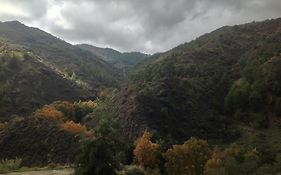 Ta Spitakia Tis Theodosias